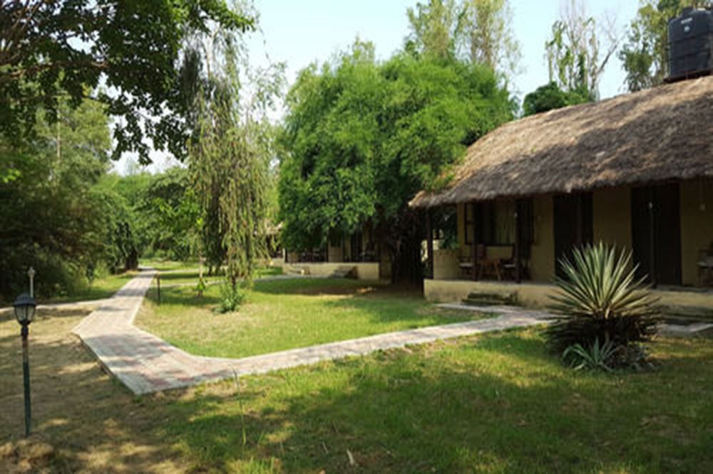 Lumbini Buddha Garden Resort image 1