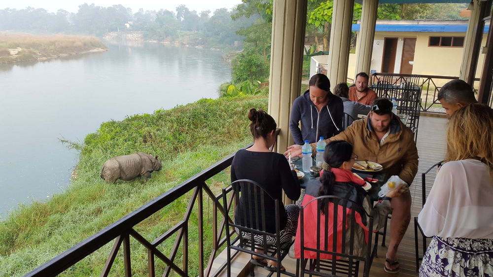 Jungle Wildlife Camp Chitwan Nepal thumbnail