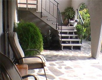 Mountview Bed & Breakfast photo 5