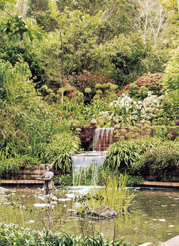 Bridgewater Country Estate photo 5
