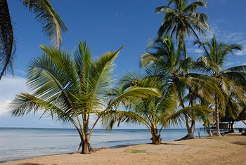 Coral Lodge Eco Resort photo 2