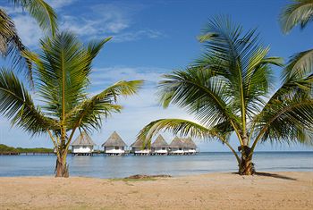 Coral Lodge Eco Resort photo 3