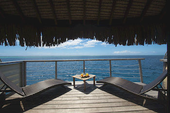 Beach or Ocean View