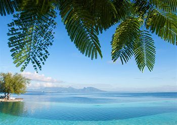 Infinity Pool