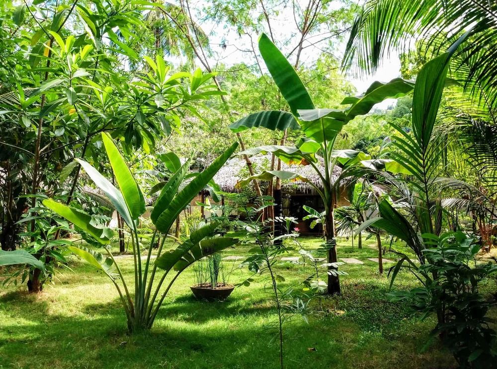 El Nido Coco Resort image 1