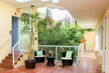 Terrace or Patio