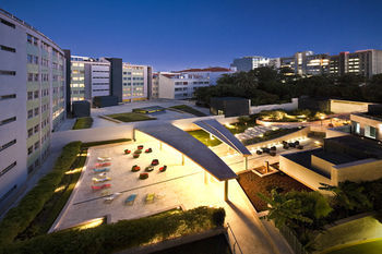 Terrace or Patio