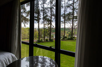 Guestroom View