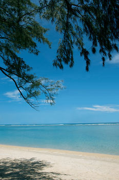 Beach or Ocean View