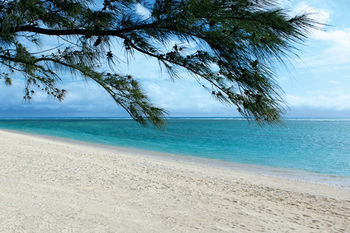 Beach or Ocean View