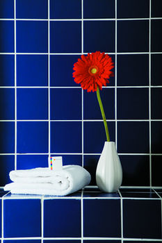 Cosmos Yekaterinburg Hotel, a member of Radisson Individuals photo 3