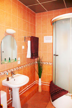 Hotel Midland Sheremetyevo photo 4