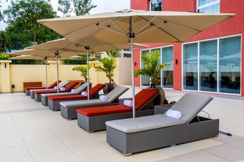 Terrace or Patio