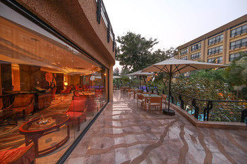 Terrace or Patio