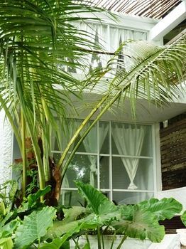 Terrace or Patio
