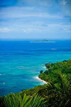 Beach or Ocean View