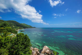 Beach or Ocean View