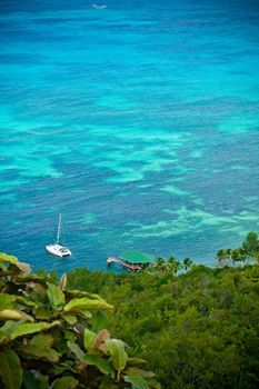 Beach or Ocean View
