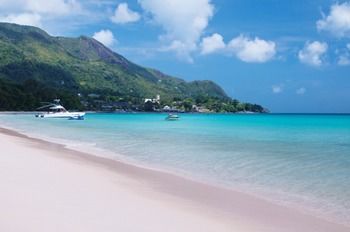 Beach or Ocean View
