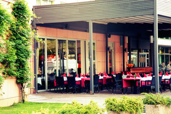 Terrace or Patio