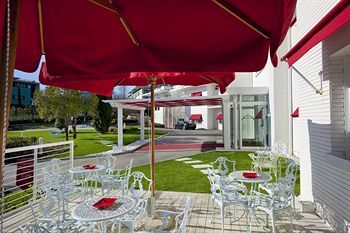 Terrace or Patio