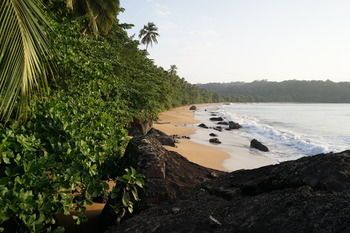 Beach or Ocean View