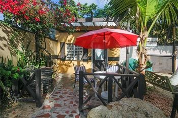 Terrace or Patio