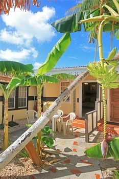 Terrace or Patio