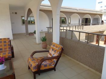 Terrace or Patio
