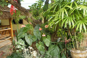 Wanliya Resort photo 4