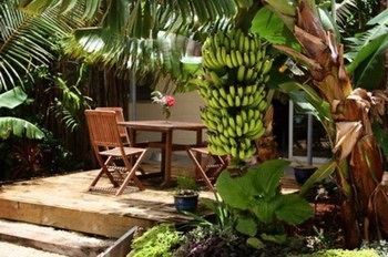 Terrace or Patio