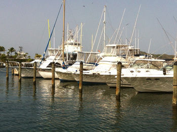 Coral Cove Marina Hotel photo 2