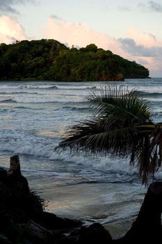 D'Coconut Cove photo 3