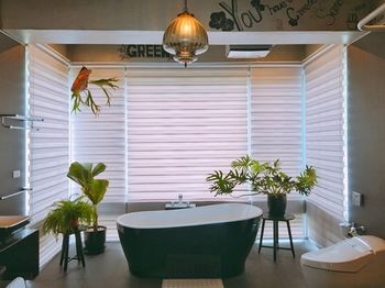 Noosa coast B&B photo 3