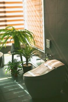 Noosa coast B&B photo 5