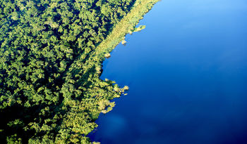 Rubondo Island Camp photo 2