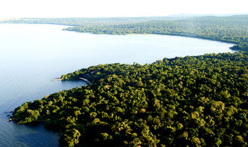 Rubondo Island Camp photo 3