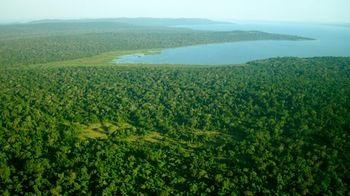 Rubondo Island Camp photo 4
