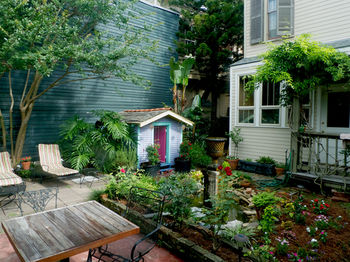 Audubon Park House photo 5