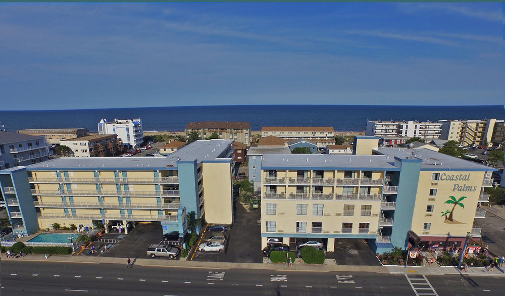 Coastal Palms Inn and Suites image 1