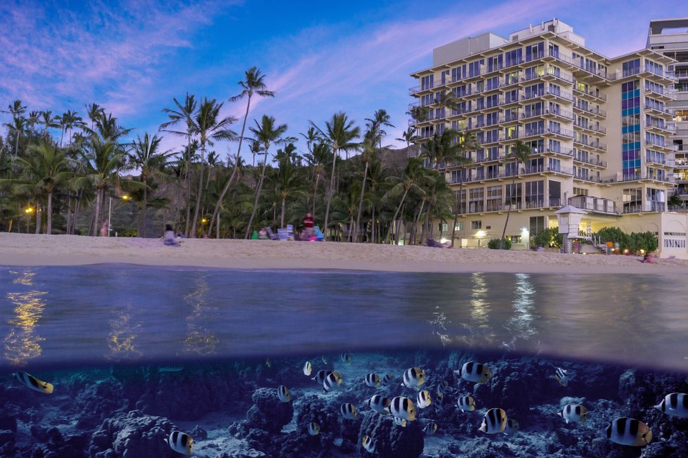 The New Otani Kaimana Beach Hotel image 1