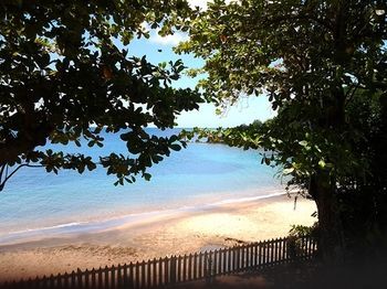 Beach or Ocean View