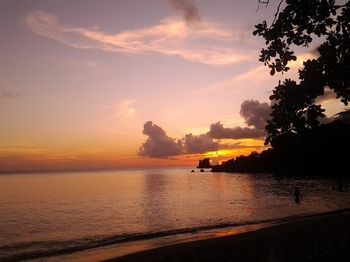 Beach or Ocean View