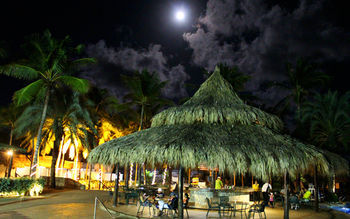Poolside Bar