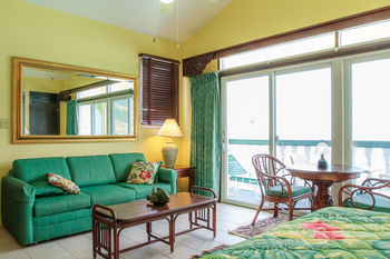 Guestroom View