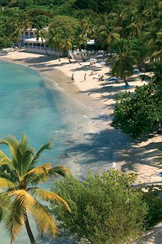 Beach or Ocean View