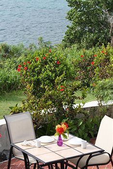 Terrace or Patio