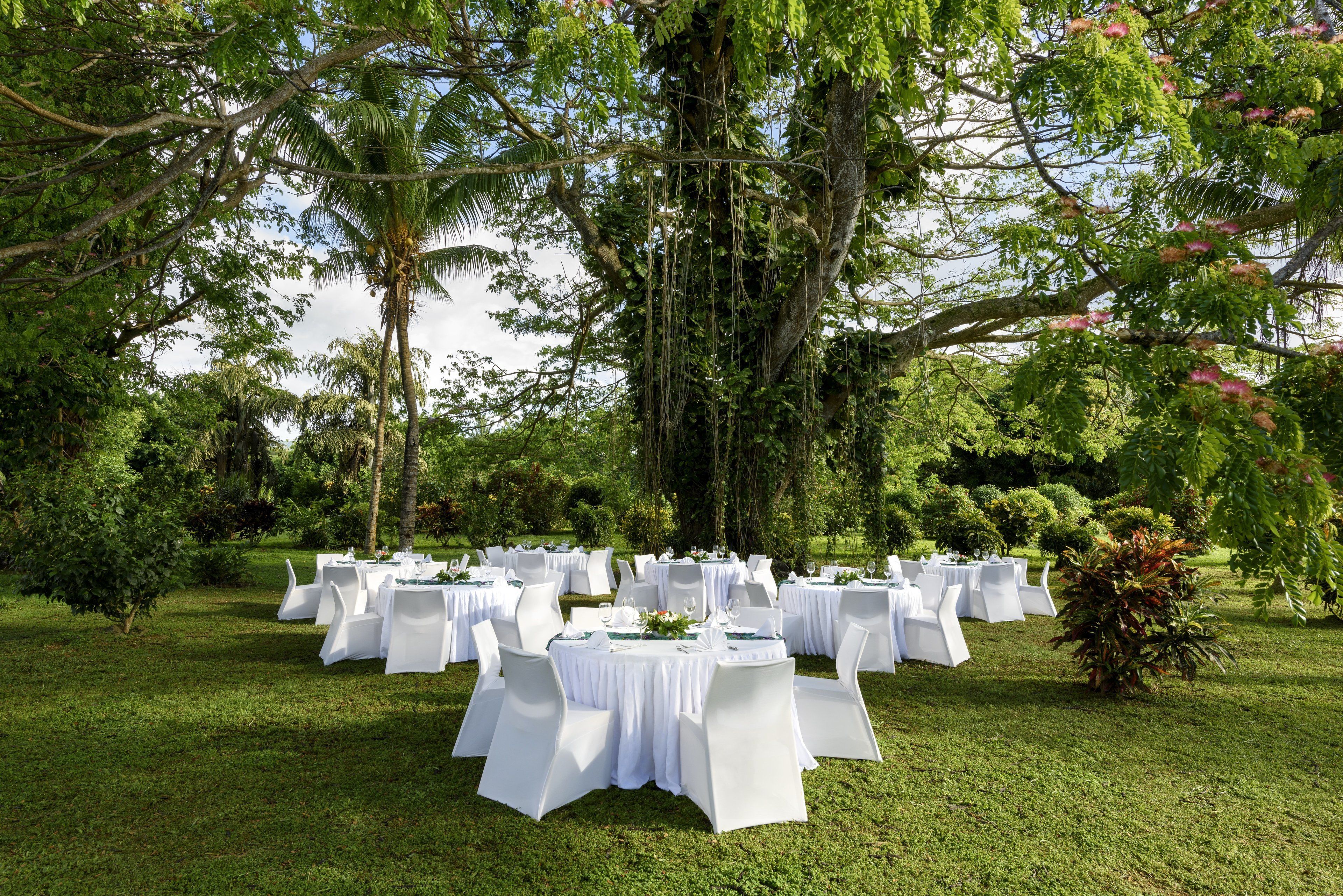 Outdoor Wedding Area