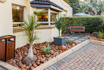 Terrace or Patio
