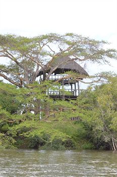 Mu-Fungata Safari Lodge photo 4
